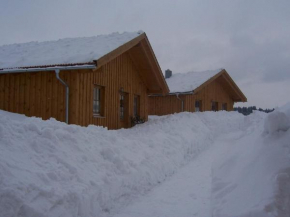 Ferienhaus Zinnöcker Breitenberg